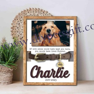 Personalized Pet Collar Frame Memorial Gift For Cute Dogs Memorial Frame