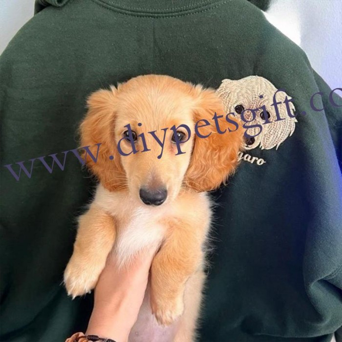 Personalized Pet Photo Embroidered Sweatshirt