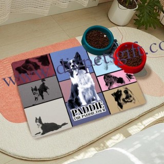 Personalized Pet Bowl Placemat Custom Pet Feeding Mat